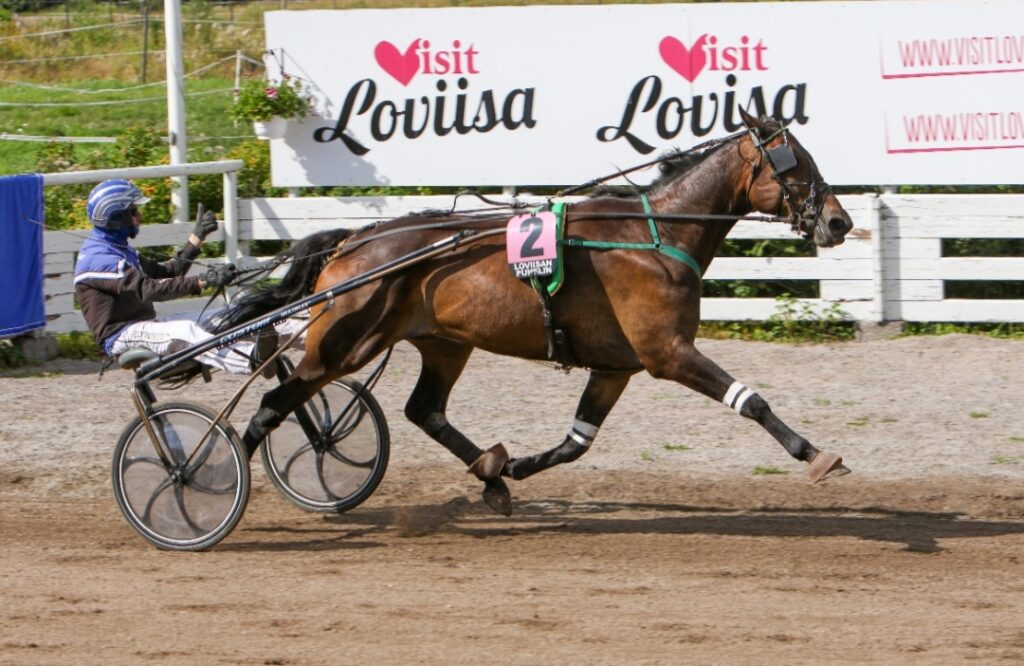 Loviisan kesäravit - lämminverinen voittajakuva.