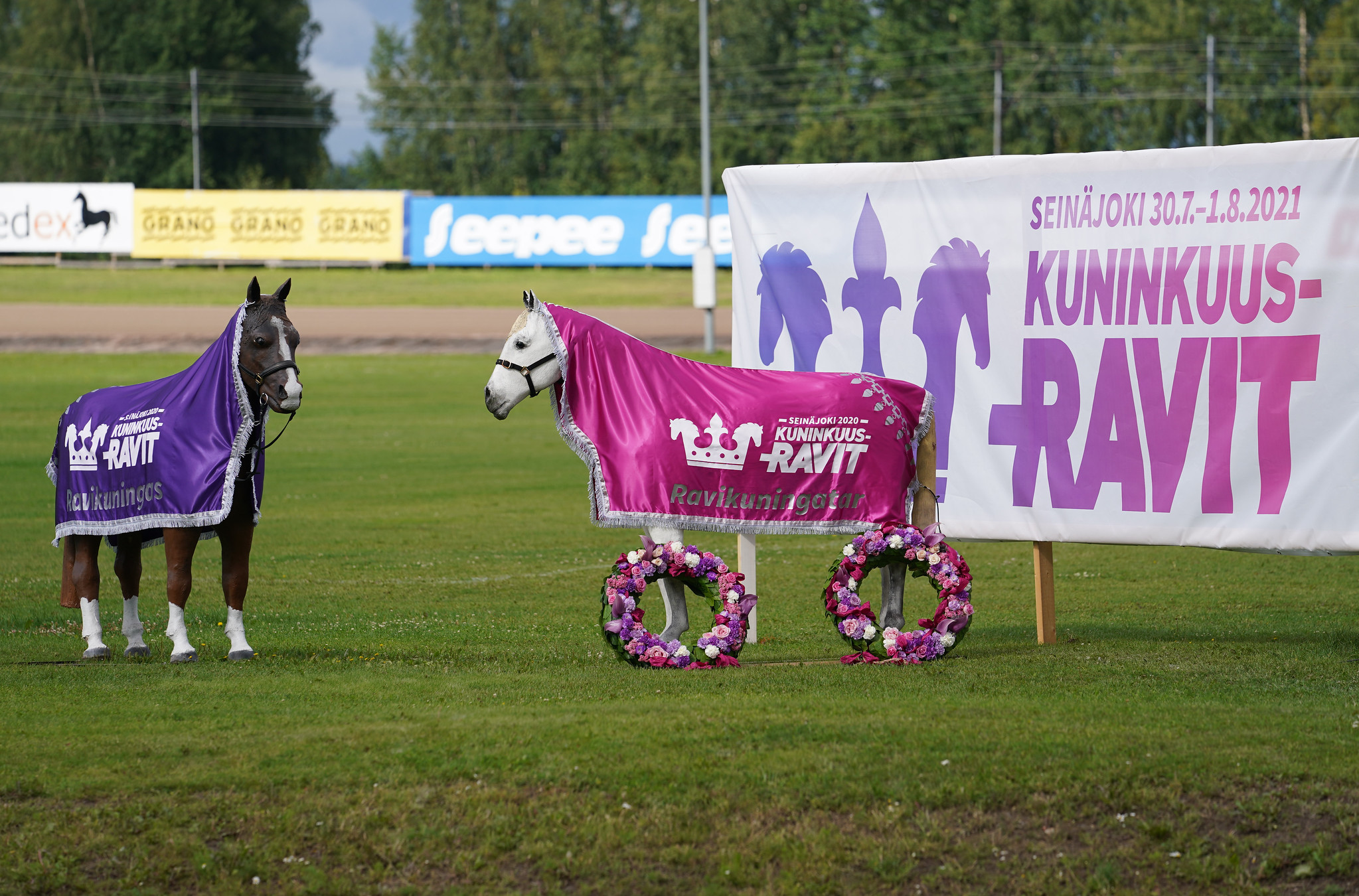 Kuninkuusravien pääkilpailuihin ilmoitettiin 15 oritta ja 26 tammaa - Hippos